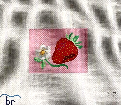 Inserts - Strawberry Patch