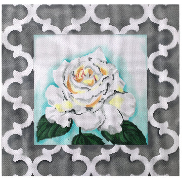 White Rose w/Border