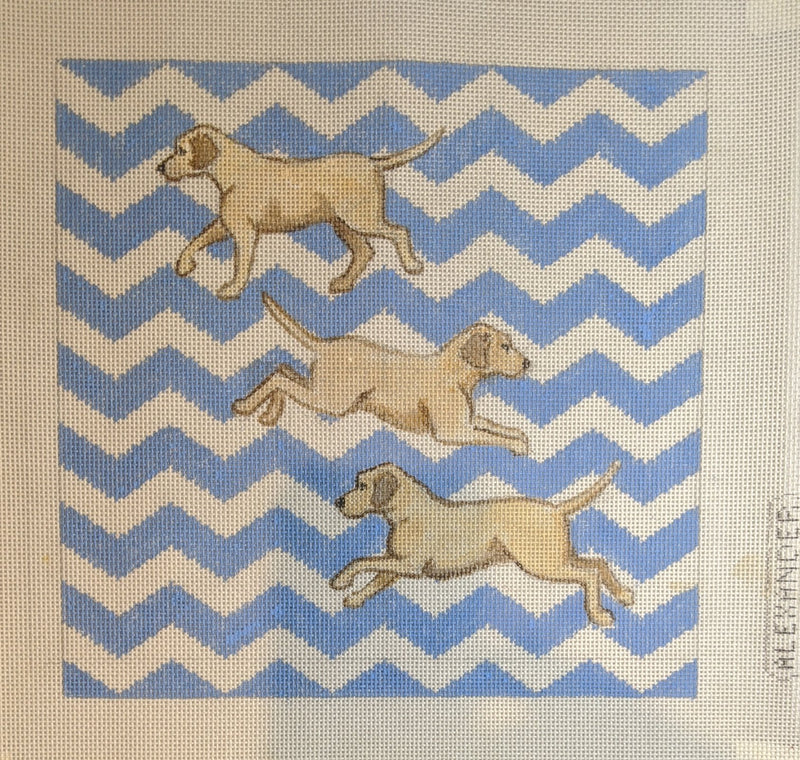 \Three Yellow Labs with Zig Zag Background