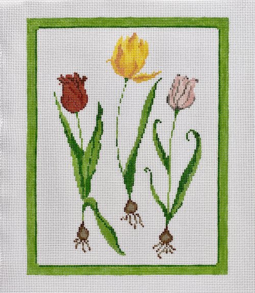 Tulips (13 mesh)