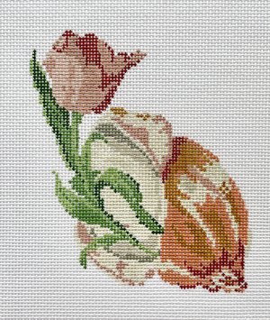 Shell Series - Tulip (18 mesh)