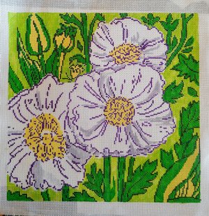 Queen Wilheminas Poppies