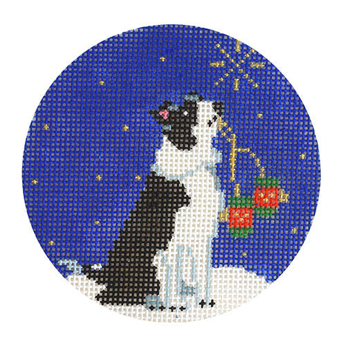 Midnight Border Collie Round