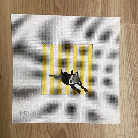 Boston Terrier Lying