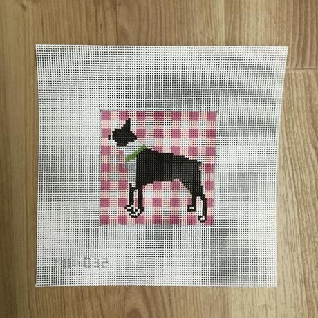 Boston Terrier Standing