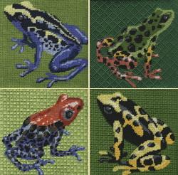 Dart Frog Coasters