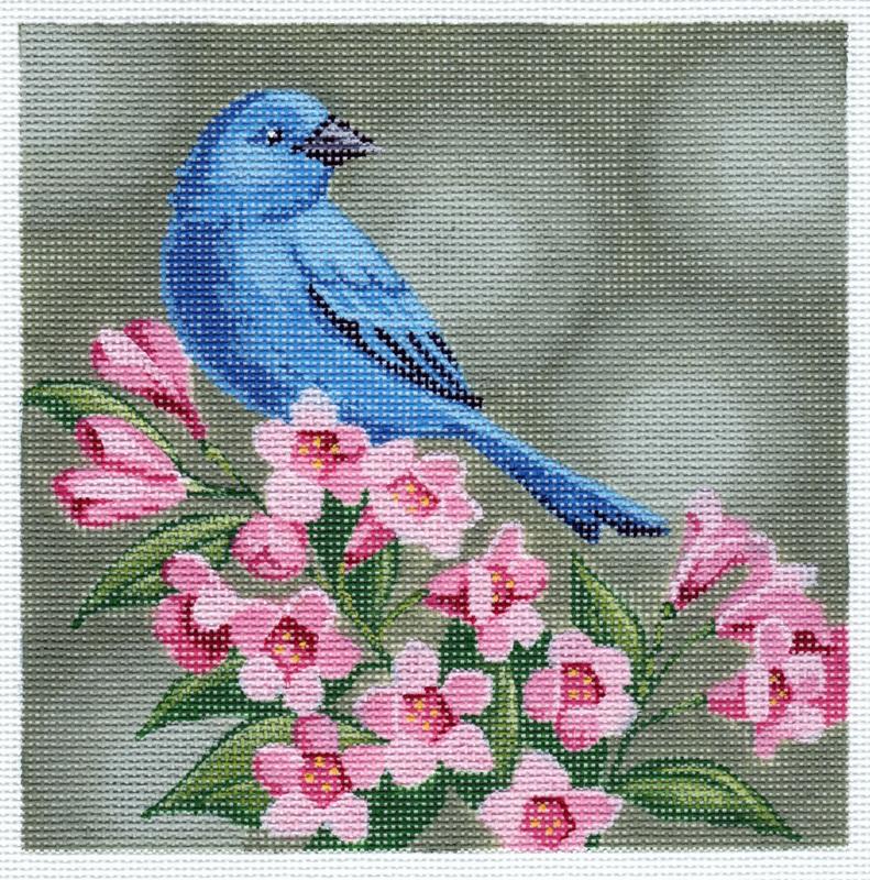 Indigo Bunting on Pink Flowers