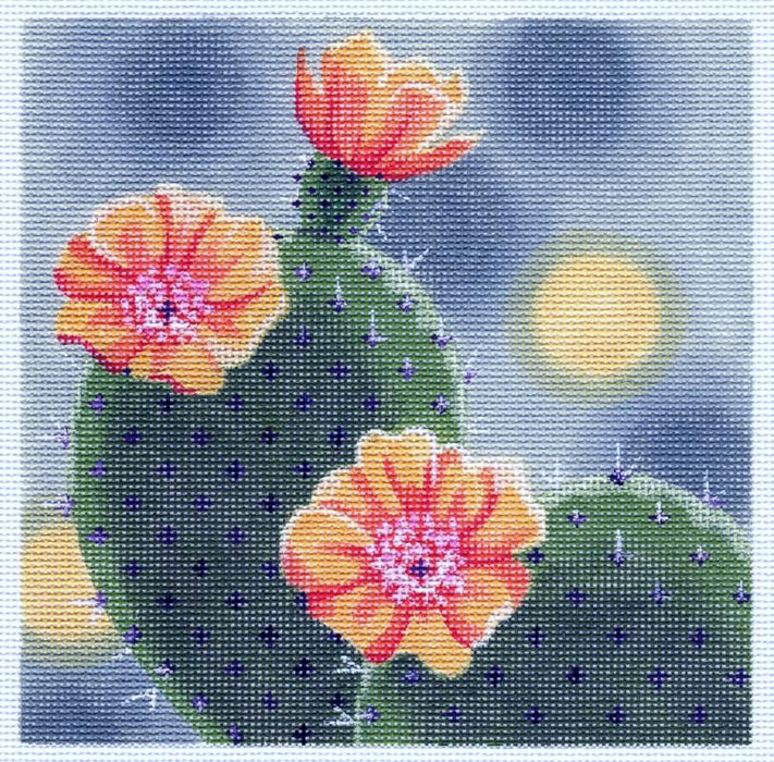 Cactus in Bloom