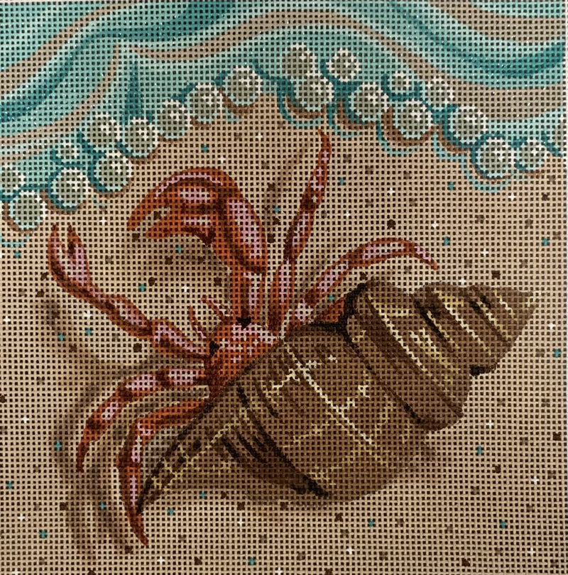 Hermit Crab
