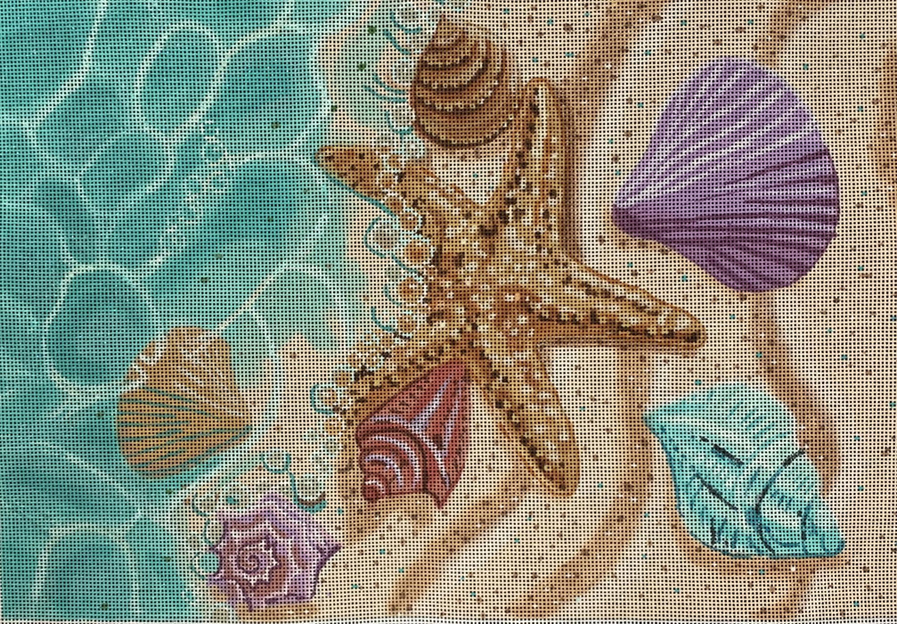 Seashells in the Beach