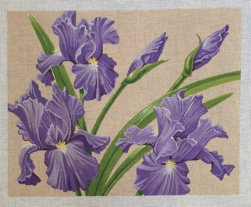 Irises on 18 Mesh