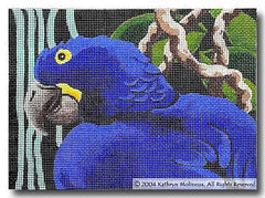 Details: Hyacinth Macaw