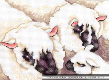 Details: Sheep