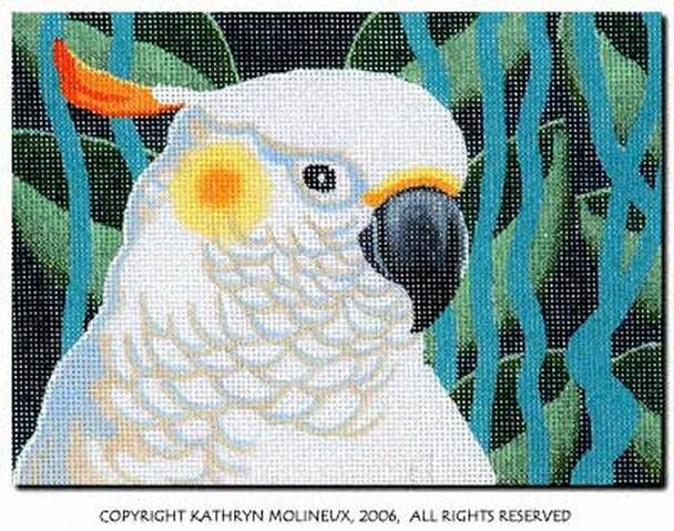 Details: Sulphur-Crested Cockatoo