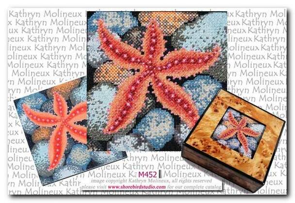 Box Top: Starfish