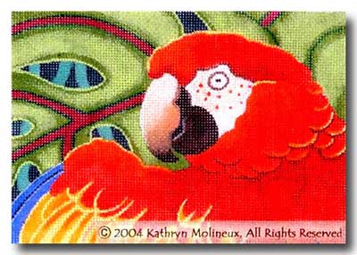 Details:Scarlet Macaw