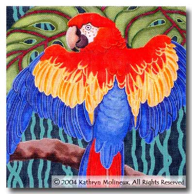 Scarlet Macaw