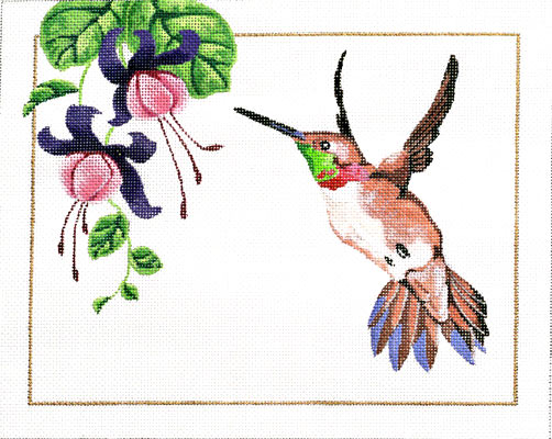 Rufous Hummingbird