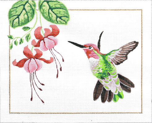 Anna's Hummingbird