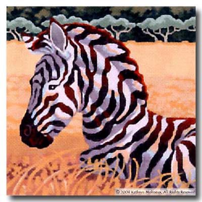 Squares: Zebra Foal
