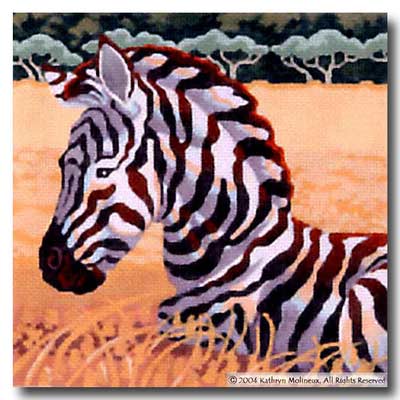 Squares: Zebra Foal