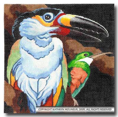 Squares: Toucan & Hummingbird