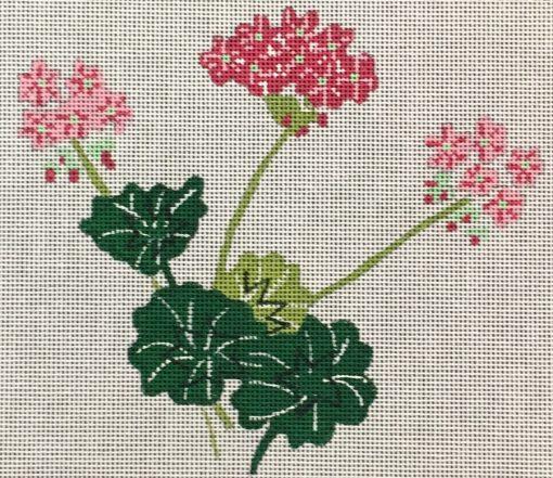 Wellesley Collection Geraniums Canvas