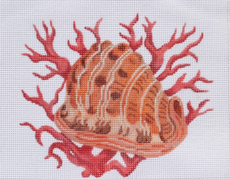 Helmet Shell w/ Coral