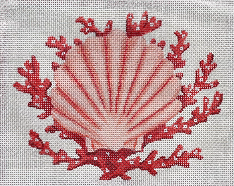 Scallop Shell w/ Coral