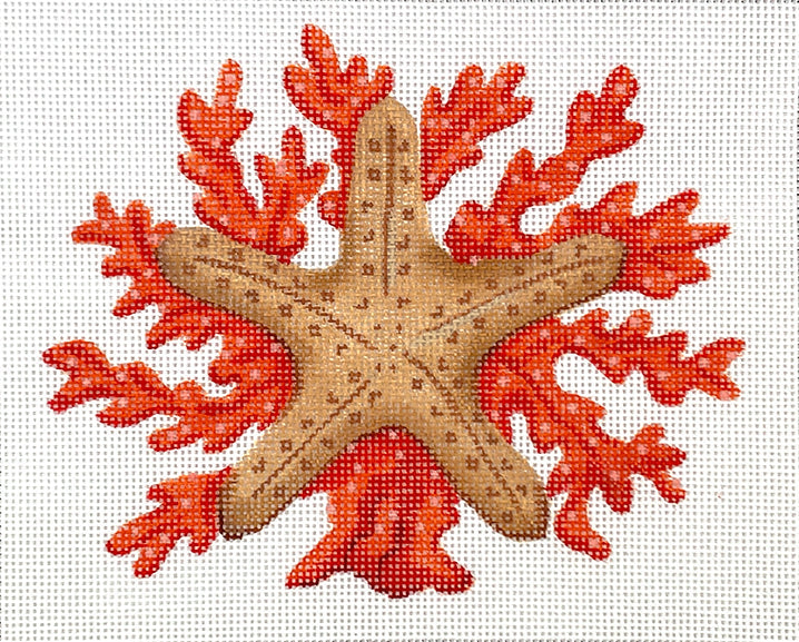 Starfish w/ Coral – natural colors