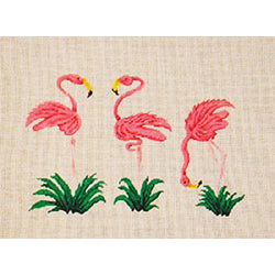 Patti Mann Ann Kagi, flamingos Canvas