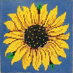 Patti Mann sunflower/ blue background Canvas