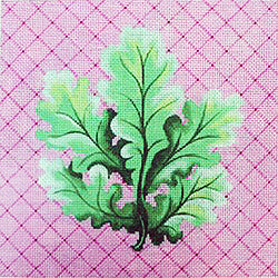 Patti Mann Botanical, Curvy leaves on pink diamonds Canvas