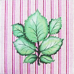 Patti Mann Botanical, Leaf cluster on pink stripe Canvas