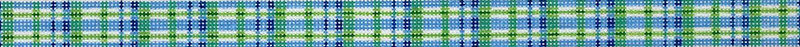 Sunglass Strap – Blue & Green Madras