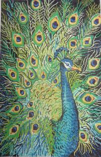 Birds of a Feather Peacock Profile Canvas