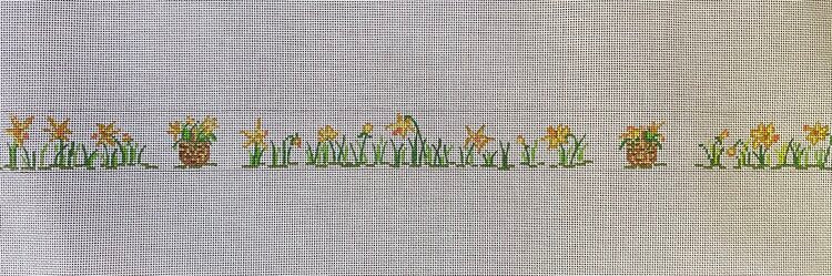 Nantucket Daffodil Belt