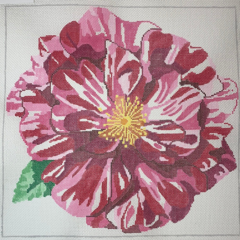 14" Simple Flowers - Candy Cane Rose