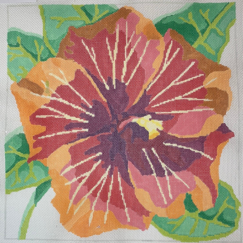 Tropical Hibiscus