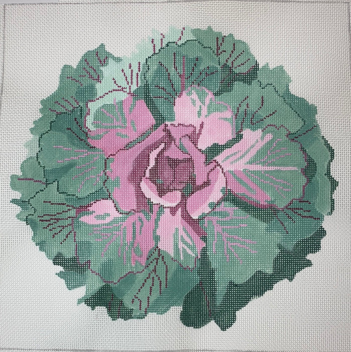 Flowering Kale #2