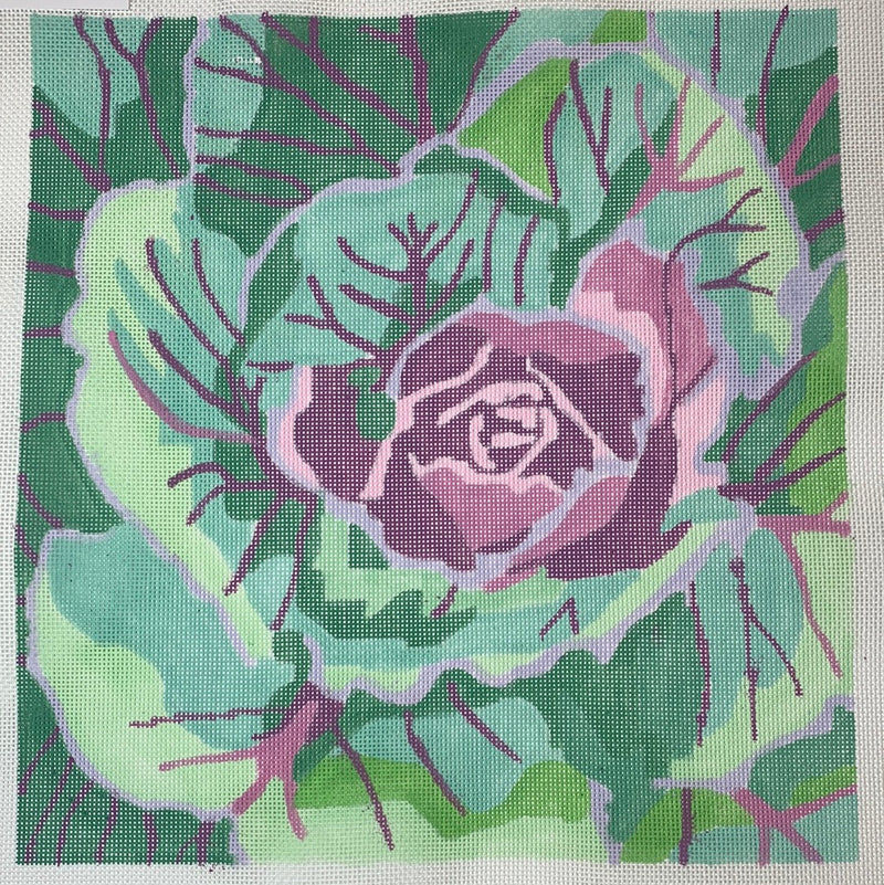 Farmer's Market Ornamental Cabbage