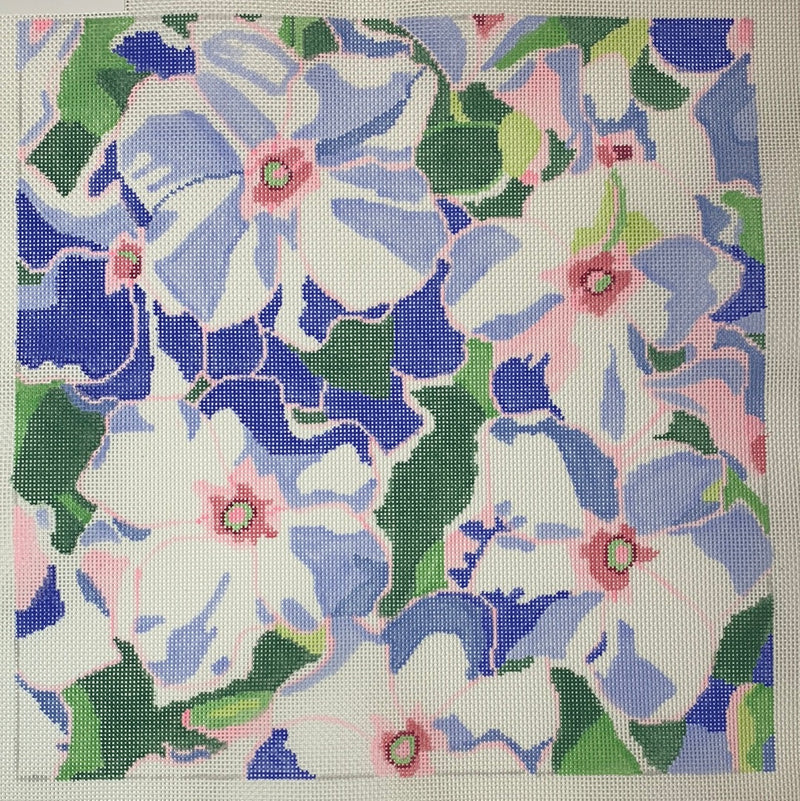 Large Summer Impatients