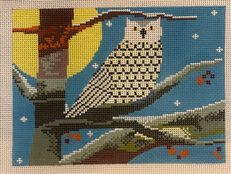 Winter Owl