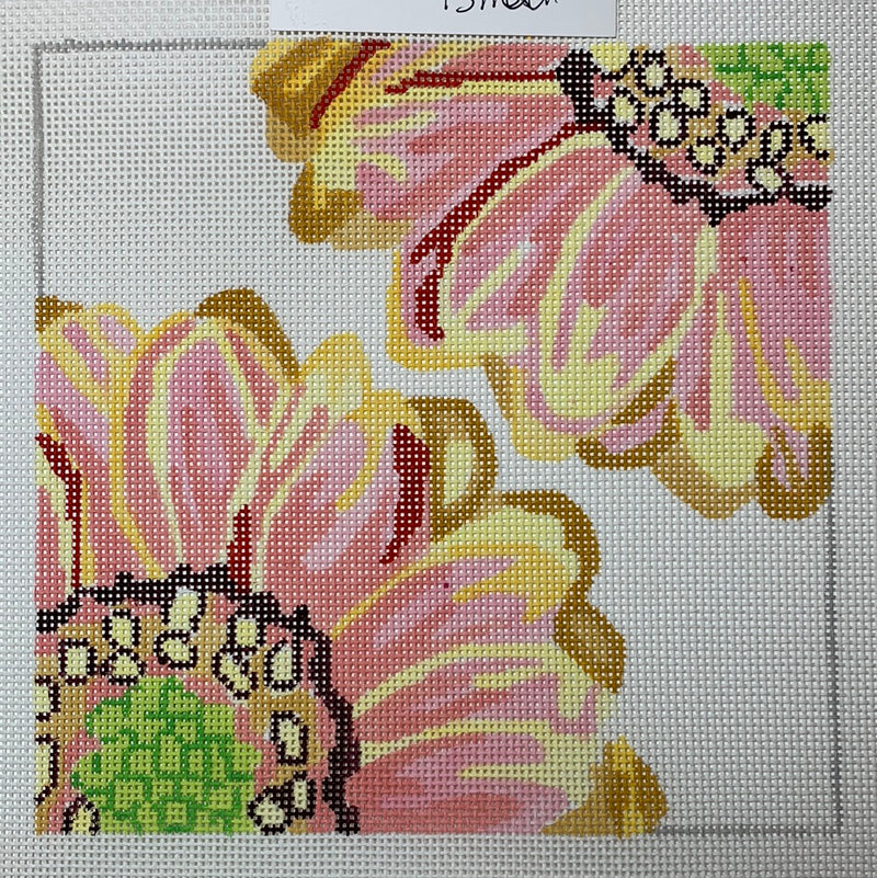 Small Double Delights Sunset Daisy