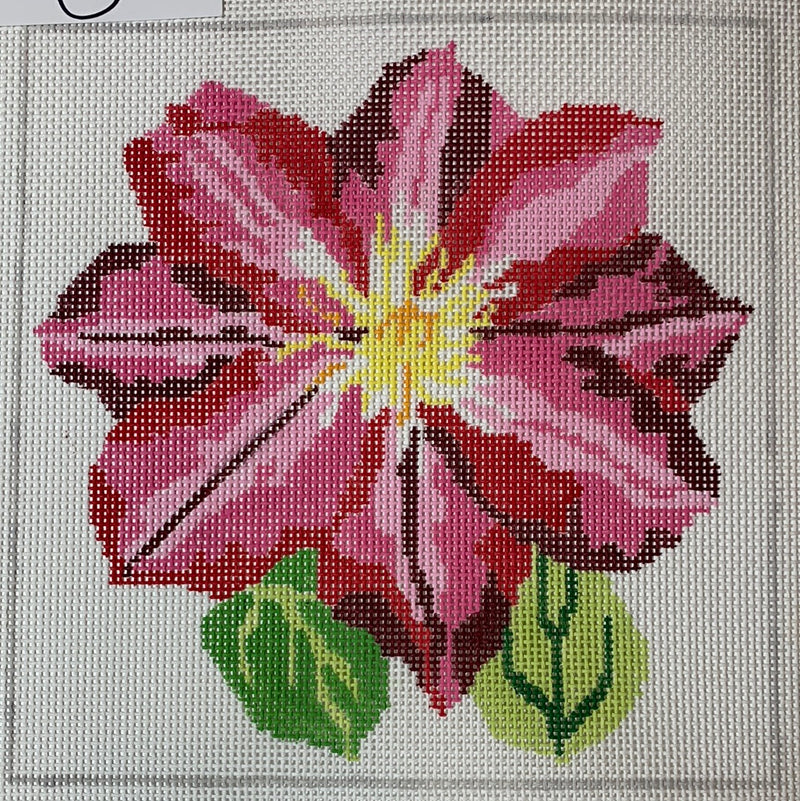 8" Simple Flowers - Pink Clematis