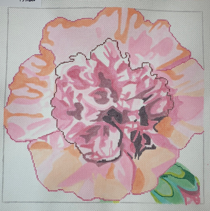 Powder Puff Hollyhock
