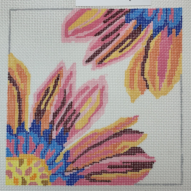 Small Double Delights Morning Glow