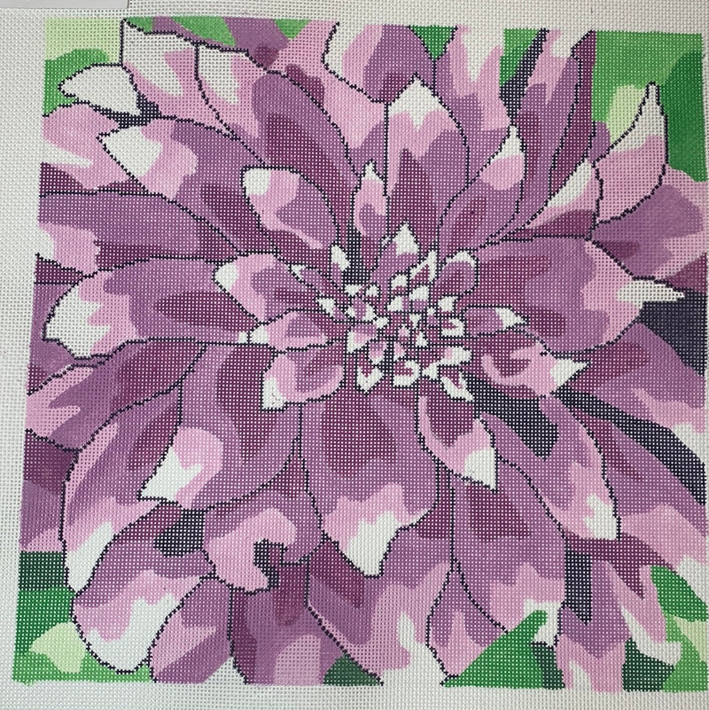 Large Purple Dahlia