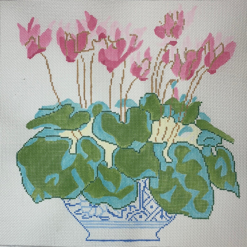 Cyclamen in Blue Bowl