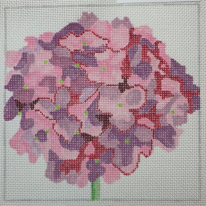 Petit Pink Hydrangea #9